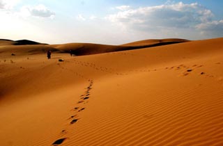 库布齐沙漠一日游
